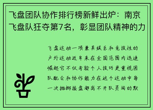 飞盘团队协作排行榜新鲜出炉:南京飞盘队狂夺第7名,彰显团队精神的力量